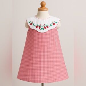 Rosalina Gingham Dress Strawberry and Ladybug Embroidered Collar Size 3T